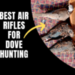 We tested and selected the best air rifles for dove hunting