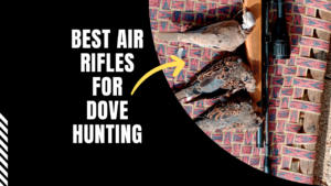 We tested and selected the best air rifles for dove hunting