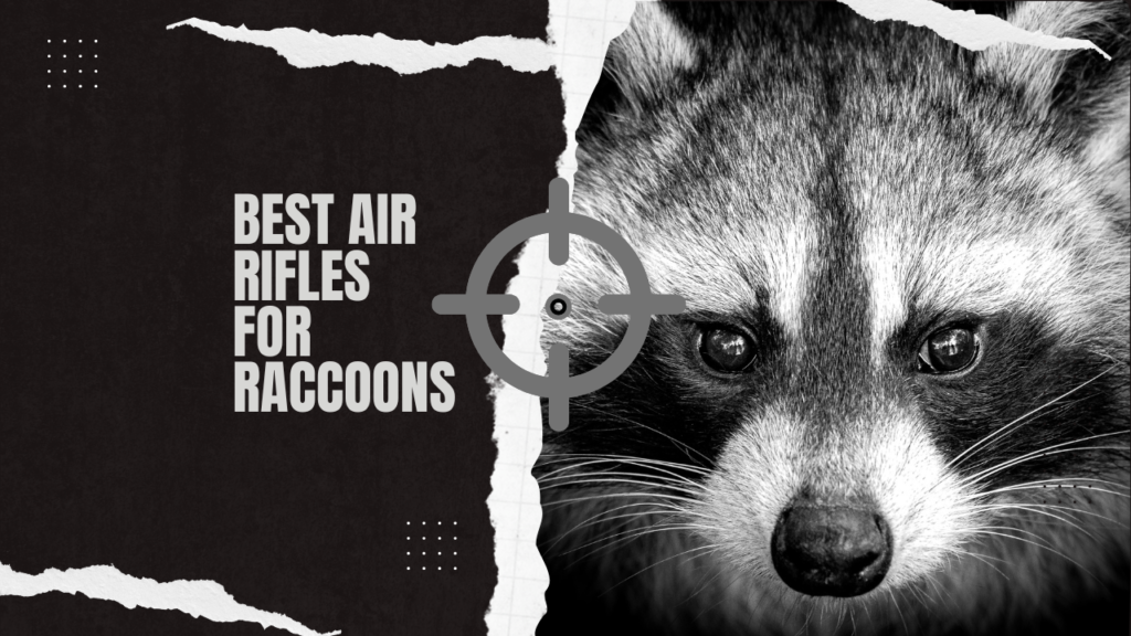 Best air rifles for raccoons: Hunting tips, features, and expert advice for tackling pesky wildlife.