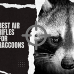 Best air rifles for raccoons: Hunting tips, features, and expert advice for tackling pesky wildlife.